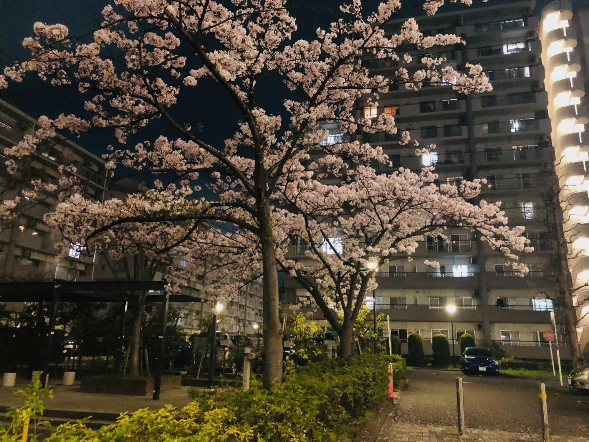 Jl 東京 House - 駐車場付き築浅のまるごと貸切住宅 Токіо Екстер'єр фото