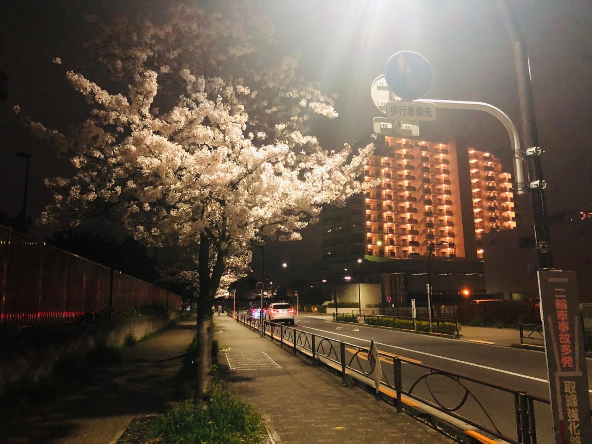 Jl 東京 House - 駐車場付き築浅のまるごと貸切住宅 Токіо Екстер'єр фото